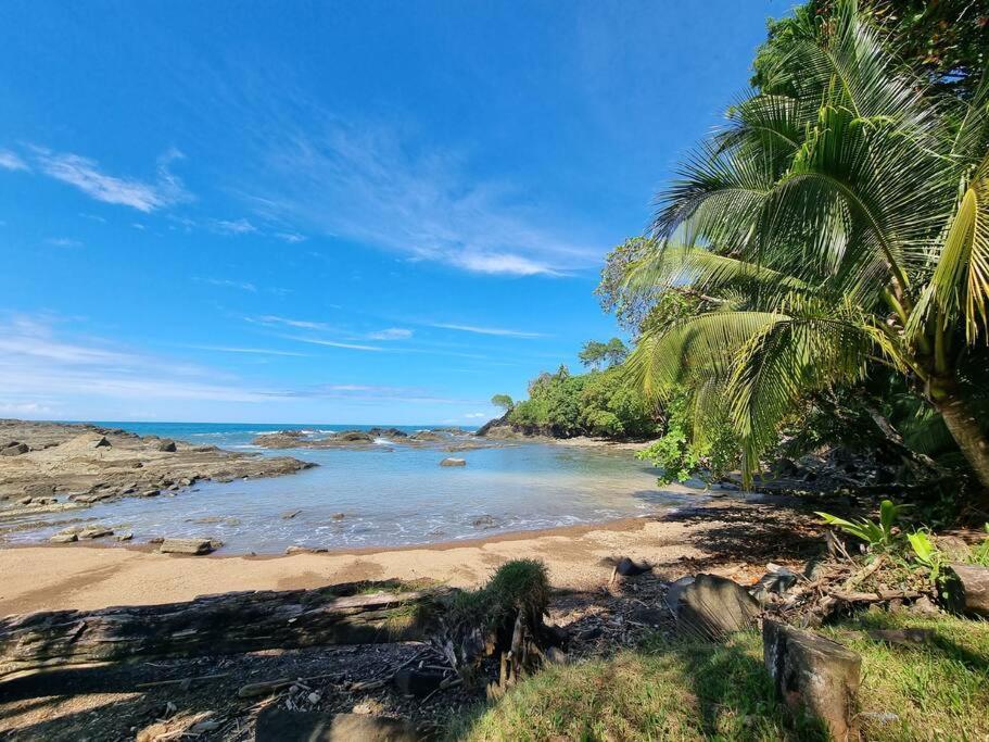 Villa Amor Del Mar With Breathtaking View Of Ocean & Jungle دومينيكال المظهر الخارجي الصورة